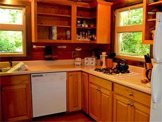 Lodge On Iron Mountain - Log Cabin Kitchen