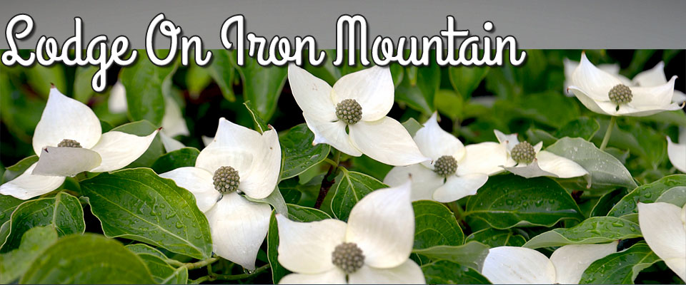 Lodge On Iron Mountain